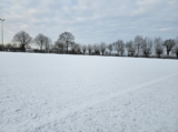 Sneeuwlaag bedekt sportpark 'Het Springer' (21/37)